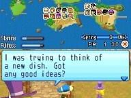 RPGamer: Harvest Moon: Sunshine Islands Review
