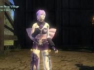 Dynasty Warriors: Strikeforce English Trailer