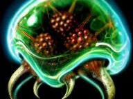 The Indie 10: Best Metroidvanias [Top 10 List]