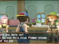 New Harvest Moon: Hero of Leaf Valley screenshots