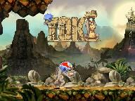 Toki Developer Interview