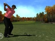 EA making Tiger 08 look nearly photographic