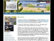 New MS Blog Opens Up