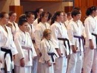 THQ reveals All Star Karate