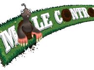 Go! Gaming Giant: Mole Control Review