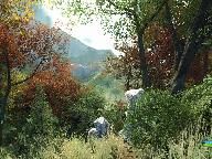 Crysis Widet2: Map with High-End benchmark released