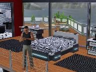 Gamervision: The Sims 3: High-End Loft Stuff Review