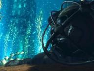 TGR: BioShock 2 Review