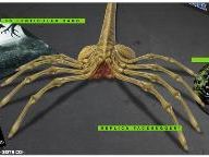 Facehugger tail snapped? Aliens vs. Predator Hunter Edition Facehugger Replacement Program launched