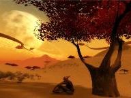 One Shots: A Lonely Sunset