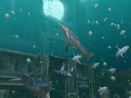 G4TV: Endless Ocean 2: Blue World Review