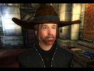 I got Chuck Norris in my game