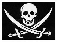 Nintendo scores another win over R4 piracy