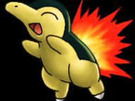 Which Pokemon HeartGold and SoulSilver Starter is Right For You?