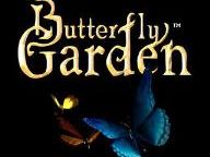 New Butterfly Garden Details