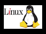 MMOHut: Linux Compatible MMORPGs