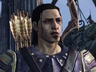 The Electronic Farmyard Review: Dragon Age Awakening