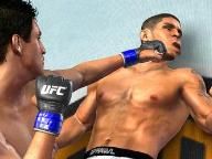 THQ readies ‘fighting game from major developer’
