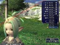 BFM: Final Fantasy XIV Alpha Leaked Screenshot Collection