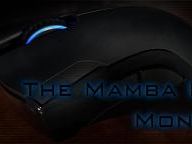 Tech Olive’s The Mamba Files: Month 4 – The RMA Process