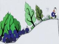 Creating Blueberry Garden