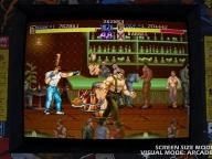 Capcom Apologizes for Not Telling Users of Final Fight DRM