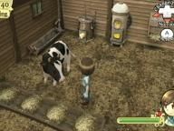 Harvest Moon Wii (title pending) Screens