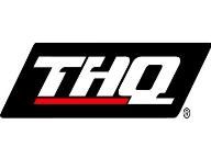 E3: THQ Press Conference