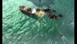 Aqua: Naval Warfare, new screenshots