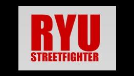 A Minimalist Perspective on Street Fighter’s Characters