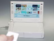 PEGA Detail Portable Wii LCD Screen
