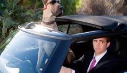 EW: Marmaduke Review
