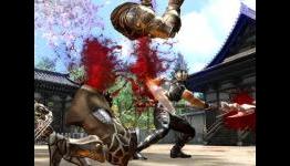 Ninja Gaiden 3 leaked images?