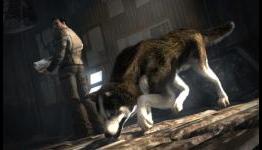 G4TV: Who Played The Dogs Out? The Realistic Dogs of Gaming