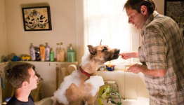 BoxOfficeMagazine: Marmaduke Review