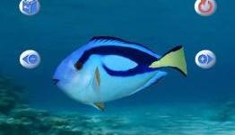 Another Wii Game Coming to PS3, My Aquarium
