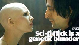 STL Today: Splice Review