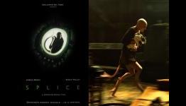 Pluggedin: Splice Review