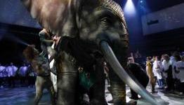 Bone-Idle.ie : Kinect E3 Reveal Disappoints. Pics,Video and Thoughts.