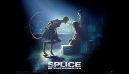 Splice Rant: What the hell was that?