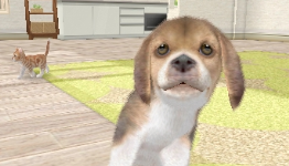 First 3D footage of Nintendogs + Cats