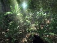 New MMO To Use CryEngine 2