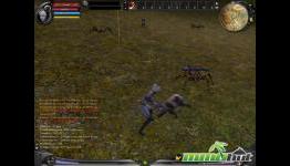 MMOHut: MMORPG Developers Cutting Corners