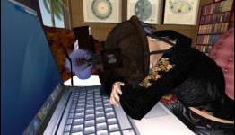 Study exposes the obvious: A good night’s sleep will help your Guitar Hero skills