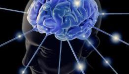 Military Researchers: Gamers are More Intelligent