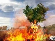 Far Cry 2 – First Official Screens from Ubisoft