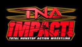 TNA Impact: Cross the Line Nintendo DS Review- Gameplaybook
