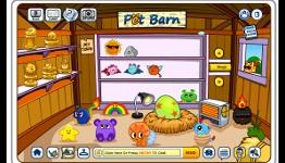 Pet Town comes to Fantage