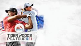 Sales of Tiger Woods Fall Sharply