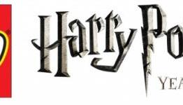GamesEyeView: LEGO Harry Potter: Years 1-4 Review
